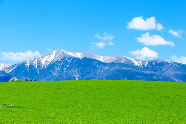 Vackra landskap, grön äng och snow mountain. Slovakien, Centraleuropa, regionen Liptov. — Stockfoto