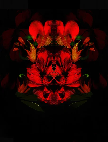 Röd blomma på svart bakgrund. Målning och datakollage. — Stockfoto