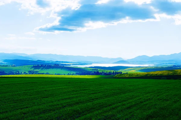 Prachtig landschap, groene en gele weide en meer met berg op de achtergrond. Slowakije, Midden-Europa. — Stockfoto