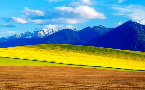 Hermoso campo arado de primavera y prado verde y amarillo. Montaña en el fondo. Eslovaquia, Europa Central, Liptov . —  Fotos de Stock