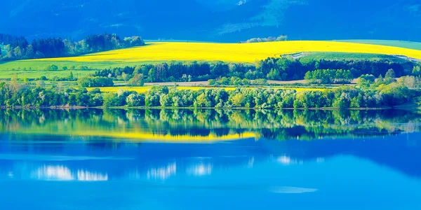 Beautiful landscape, green and yellow meadow and lake with mountain in background. Slovakia, Central Europe. — Stock Photo, Image