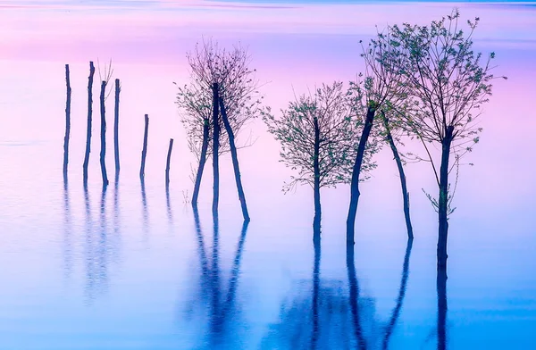 Beau paysage avec un lac et des montagnes en arrière-plan et des arbres dans l'eau. Couleur bleu et violet. Slovaquie, Europe centrale, Région Liptov . — Photo