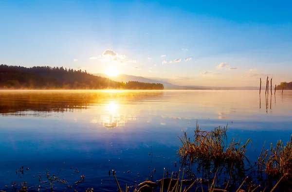 Detail der Grashalm an einem See in magischer Morgenzeit mit Sonnenaufgang. — Stockfoto