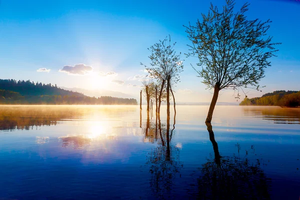 Wunderschöner Seeblick im Morgennebel mit mystischen Bergen und Bäumen als Überbleibsel eines Maulwurfs in goldenen, violett-blauen Tönen. Slowakei liptovska mara, in der Region liptov. — Stockfoto