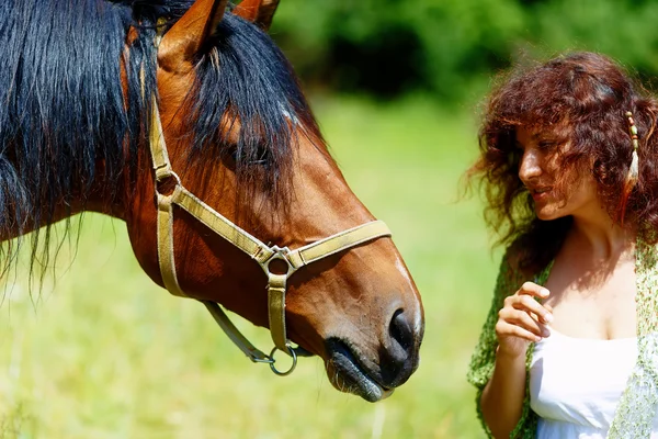 Menina em vestido branco falando com um cavalo marrom no prado . — Fotografia de Stock