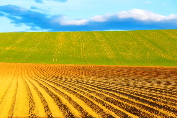 Hermoso campo de primavera arado y prado verde . — Foto de Stock