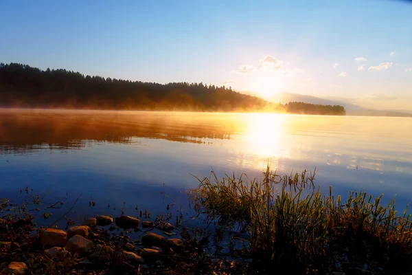 Подробности травяного халма на озере в волшебное утреннее время с рассветом солнца . — стоковое фото