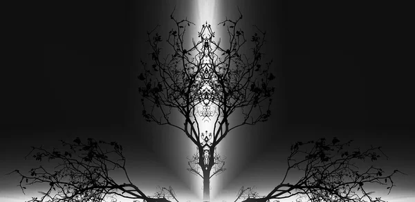 Bellissimo mandala ornamentale con motivo ad albero, simbolo di vita . — Foto Stock