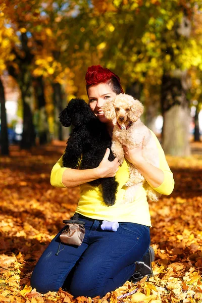 Cute smiling girl with black and white dog and hugging at the autumn park outdoors. Eye contact. — Stock Photo, Image