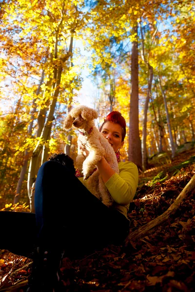 Linda chica con perro blanco sonriendo y abrazándose en el bosque de otoño al aire libre . — Foto de Stock