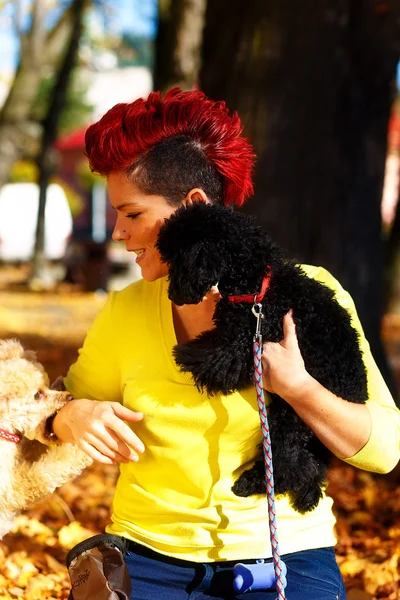 Linda chica sonriente con perro blanco y negro y abrazos en el parque de otoño al aire libre . — Foto de Stock