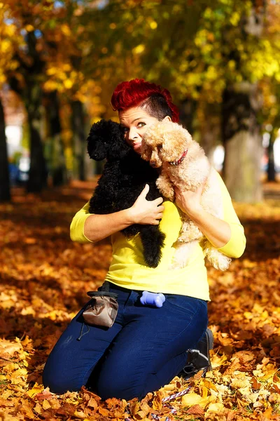 Cute smiling girl with black and white dog and hugging at the autumn park outdoors. — Stock Photo, Image