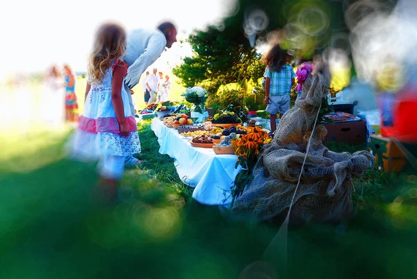 Meals on table of abundance as a part of natural wedding ceremony held in nature. — Stock Photo, Image