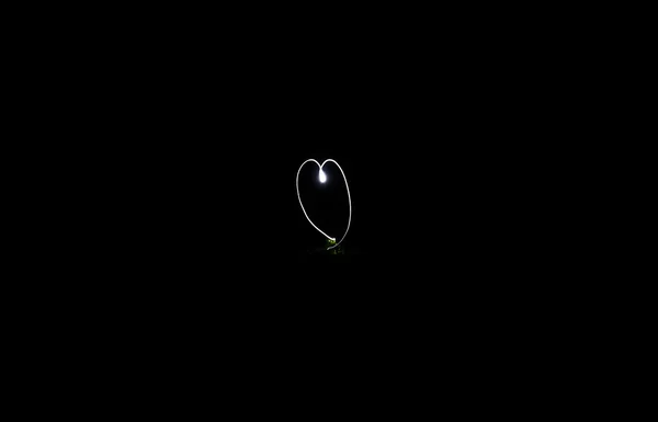 白色的辐射心脏形状由在黑暗的夜间背景上的光运动. — 图库照片