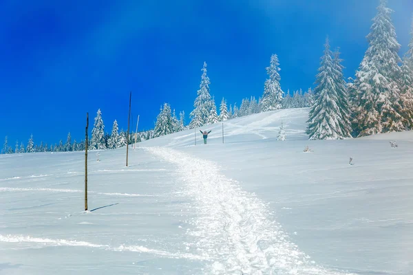 Bela montanha paisagem nevada e árvores cobertas de neve. silhueta homem no fundo . — Fotografia de Stock