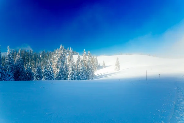 Bela montanha paisagem nevada e árvores cobertas de neve. Belo dia ensolarado nas montanhas. — Fotografia de Stock