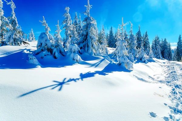 Όμορφο ορεινό χιονισμένο τοπίο και χιονισμένα δέντρα. Όμορφη ηλιόλουστη μέρα στα βουνά. — Φωτογραφία Αρχείου