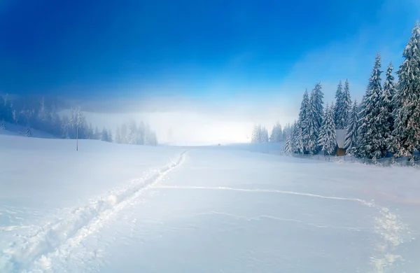 Όμορφο ορεινό χιονισμένο τοπίο και χιονισμένα δέντρα και χιονισμένα μονοπάτια στο χιόνι. Όμορφη ηλιόλουστη μέρα στα βουνά. — Φωτογραφία Αρχείου