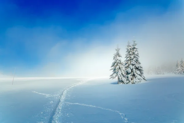 Gyönyörű hegyi havas táj és hó borította fák és havas utak a hóban. Gyönyörű napsütéses nap a hegyekben. — Stock Fotó