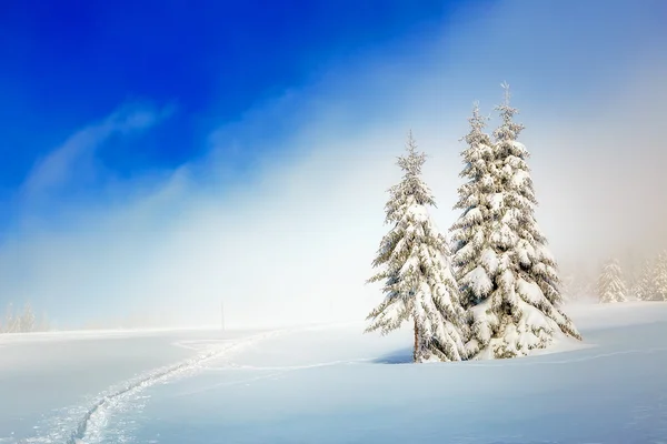 Beautiful mountain snowy landscape and snow covered trees and snowy paths in the snow. Beautiful sunny day in the mountains. — Stock Photo, Image