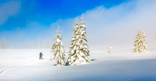 Πανέμορφο ορεινό τοπίο το χειμώνα και χιονισμένο με σκιέρ. — Φωτογραφία Αρχείου
