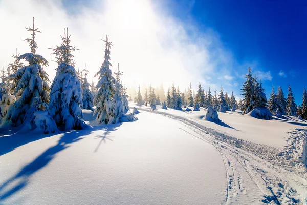 Bonita montanha nevada paisagem e vestígios de esquiadores . — Fotografia de Stock