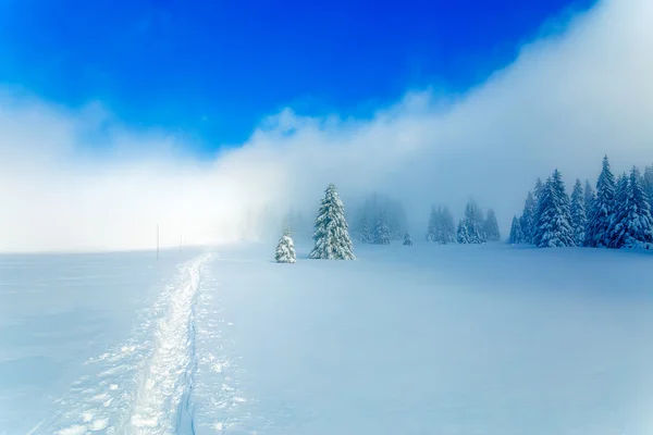 Schöne verschneite Berglandschaft und schneebedeckte Bäume und verschneite Wege im Schnee. Schöner sonniger Tag in den Bergen. — Stockfoto