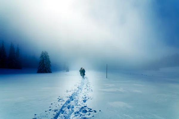 Люди одни в зимней снежной буре. Красивый снежный пейзаж. — стоковое фото