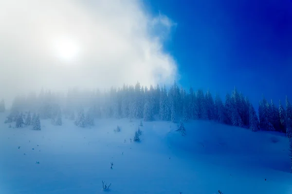 Gyönyörű hegyi havas táj és hó borította fák. — Stock Fotó