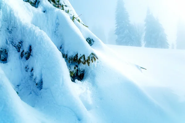 Hermoso paisaje nevado de montaña y árboles cubiertos de nieve. — Foto de Stock