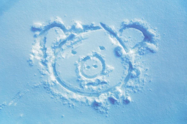 Pig in snow, drawing in the snow. Light blue background. — Stock Photo, Image