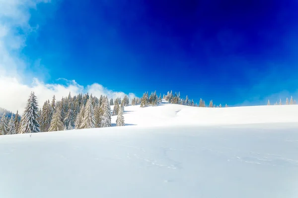 Schöne schneebedeckte Berglandschaft und schneebedeckte Bäume. Schöner sonniger Tag in den Bergen. — Stockfoto