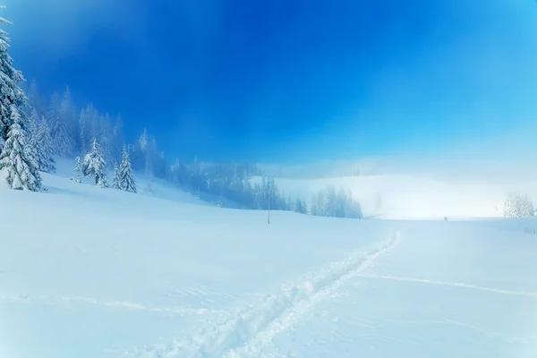 Bela montanha paisagem nevada e árvores cobertas de neve e caminhos nevados na neve. Belo dia ensolarado nas montanhas. — Fotografia de Stock