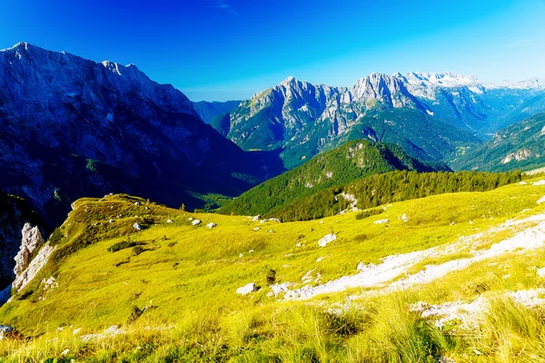 美しいアルプスの風景。美しい雄大な山ピーク. — ストック写真