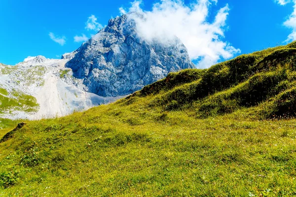 山草原と山の花、背景のピーク. — ストック写真