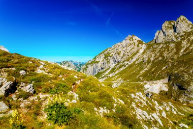 güzel Alp dağ manzaralı aydınlık yaz gününde.