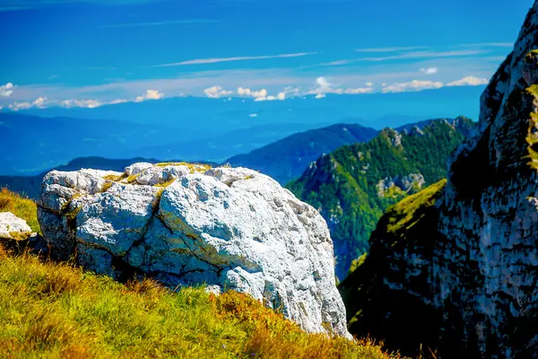 夏の明るい日にアルプスの山の風景の美しい詳細. — ストック写真