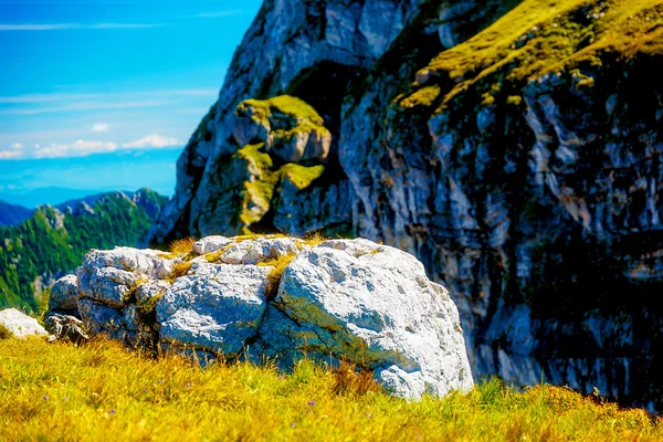 夏の明るい日にアルプスの山の風景の美しい詳細. — ストック写真