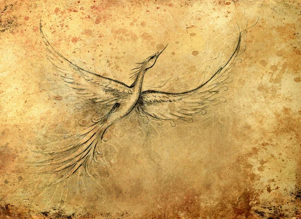再生と新しい始まりの象徴としての飛ぶ鳳凰鳥. — ストック写真