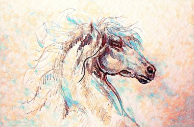 Eski kağıda çizilmiş at, orijinal el çizimi..