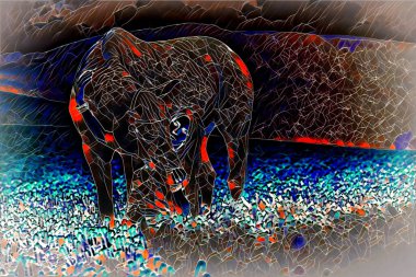 Portre kadın ve at açık havada. Bir ata sarılan kadın.