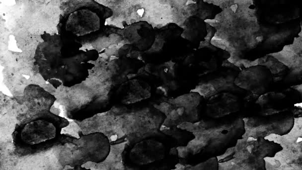 Salpicaduras negras abstractas sobre papel de acuarela blanco. imagen monocromática. Movimiento foto. — Vídeos de Stock