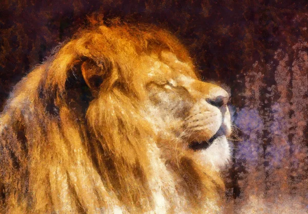 Retrato leão em fundo abstrato. — Fotografia de Stock