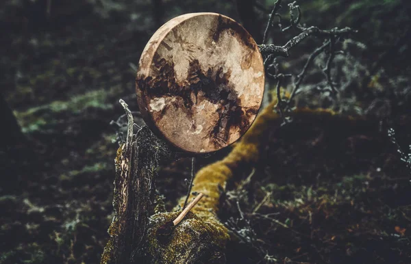 Bęben szamana w krajobrazie na drewnie mech. — Zdjęcie stockowe
