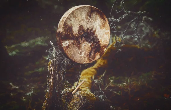 Tambor chamán en el paisaje en madera de musgo. Efecto de pintura. —  Fotos de Stock