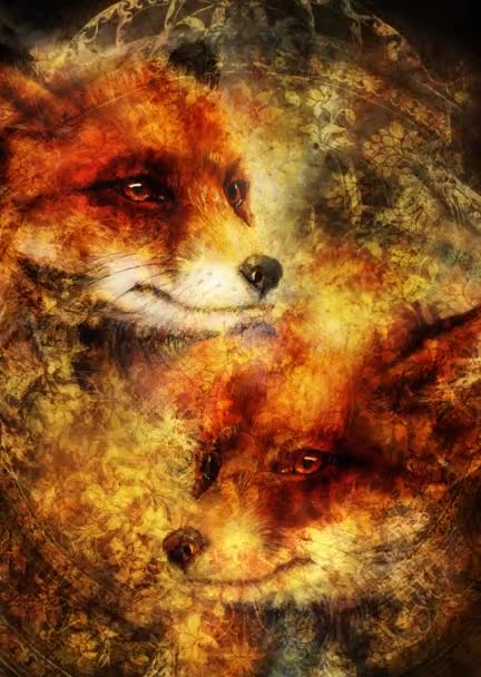 Pintura de zorro rojo salvaje. Fondo ornamental. — Vídeos de Stock