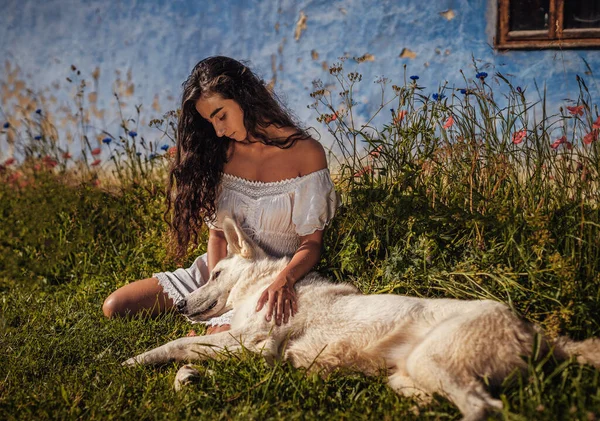 Kvinna och hund på ängen vid solnedgången. — Stockfoto