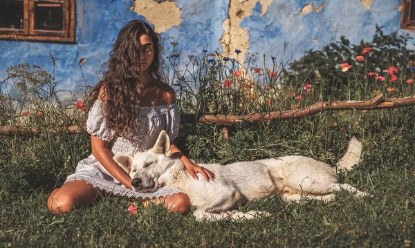 Mujer y perro en el prado al atardecer. — Foto de Stock