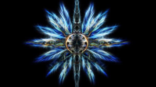 Decoratieve grafiek in de vorm van een ster met veren, fractal effect. — Stockvideo
