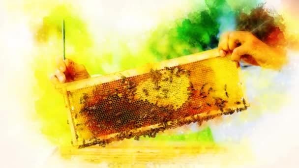 Пчеловод манипулирует сотами, полными золотого меда на мягко размытом акварельном фоне. — стоковое видео